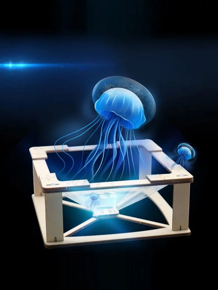 DIY 3D Holographic Projection STEM Kit