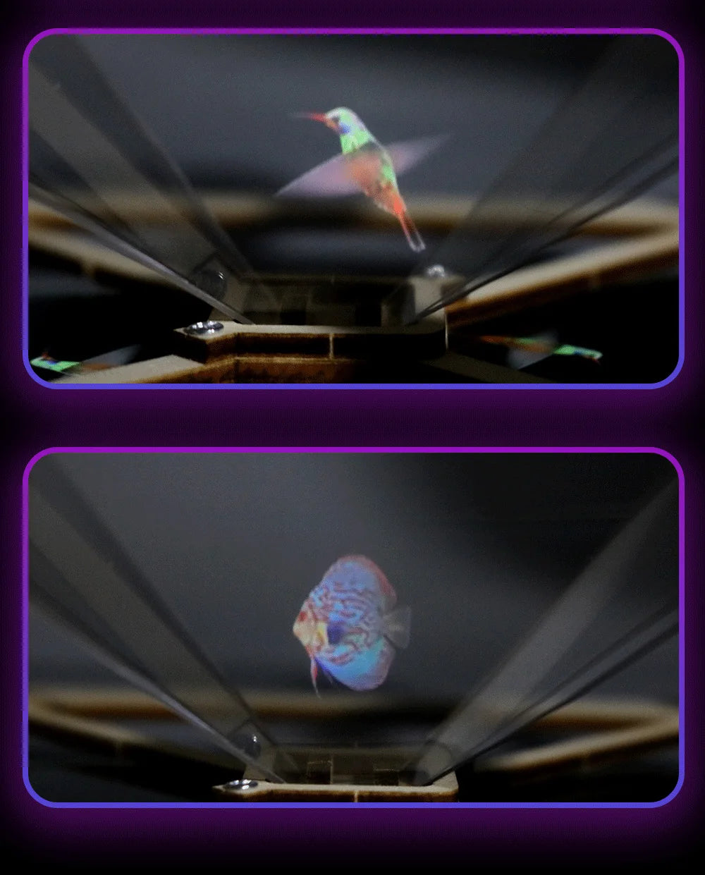 DIY 3D Holographic Projection STEM Kit