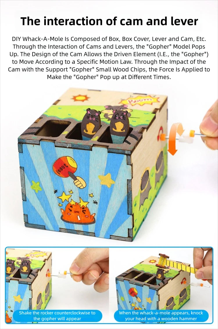 DIY Mouse Game STEM Kit