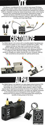 EMAX OpenIPC Wyvern Link 800mw FPV VTX