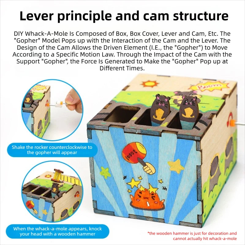 DIY Mouse Game STEM Kit