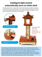 DIY Projection Lamp STEM Kit